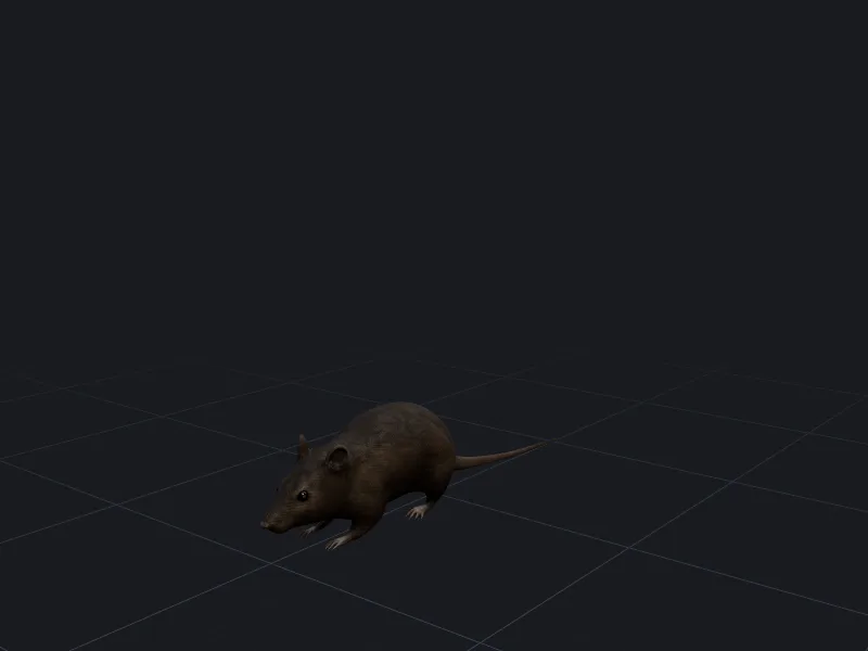 Street rat 3D model rendered on a grid